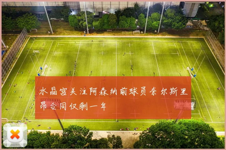 水晶宫关注阿森纳前球员奈尔斯里昂合同仅剩一年